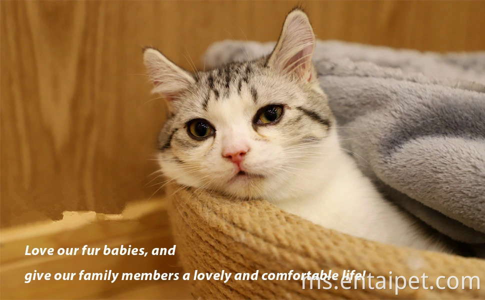 Selimut anjing bulu premium, lemparan haiwan peliharaan yang lembut dan hangat untuk anjing & kucing